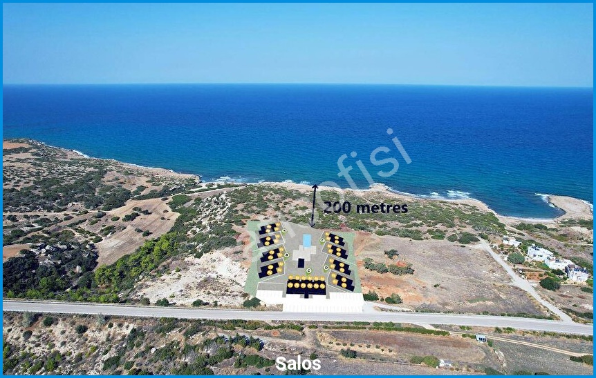 Salos görsel 9