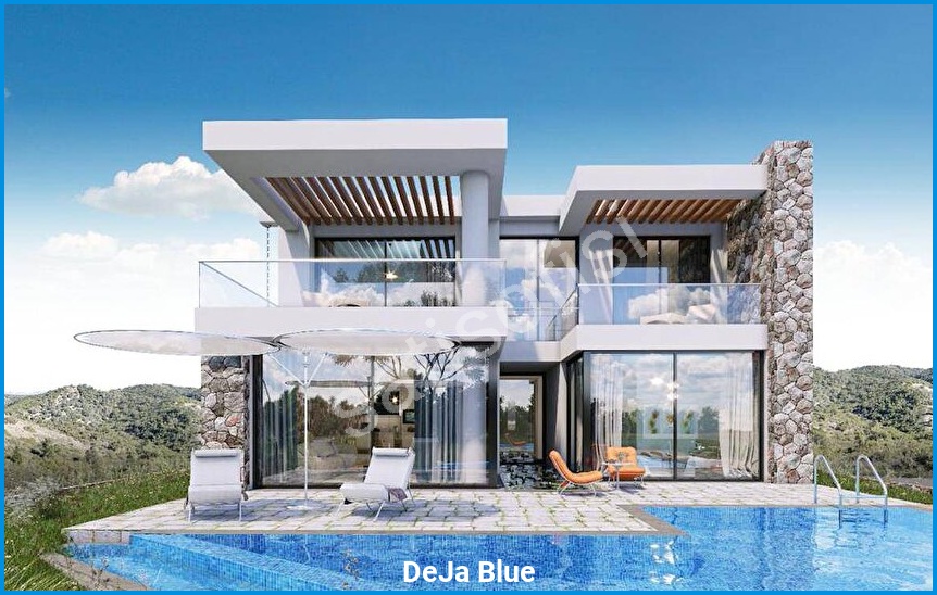 DeJa Blue 11