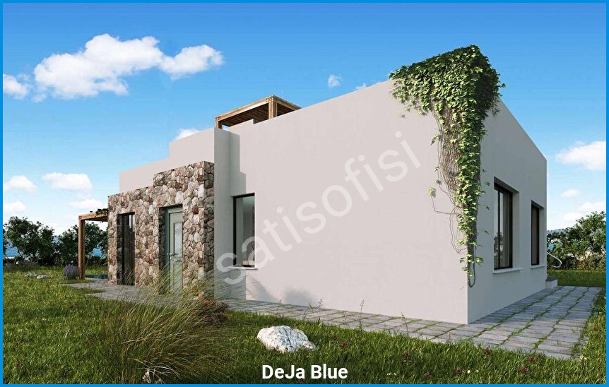 DeJa Blue 15