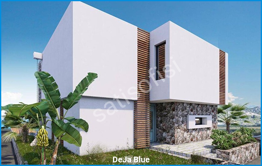 DeJa Blue 16
