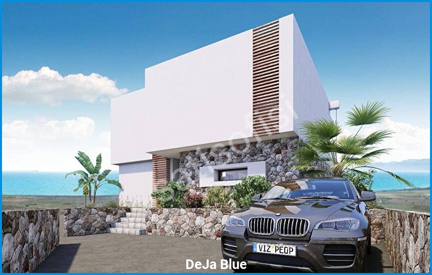 DeJa Blue 19