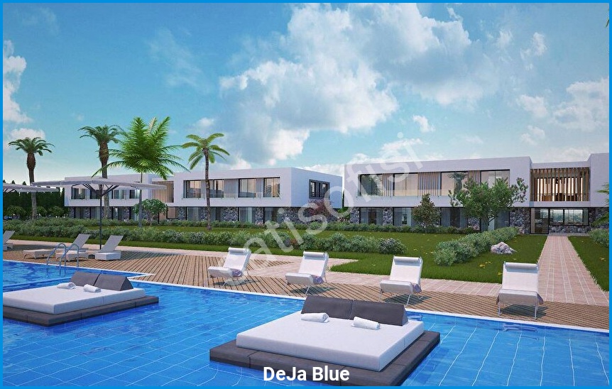 DeJa Blue 6