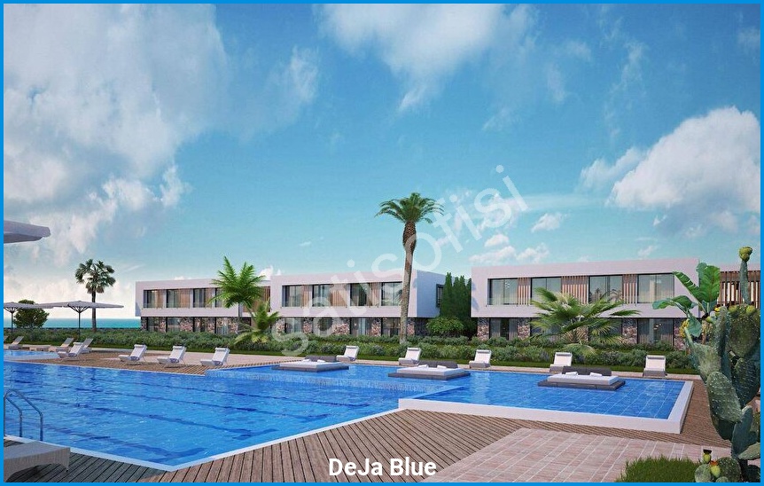 DeJa Blue 8