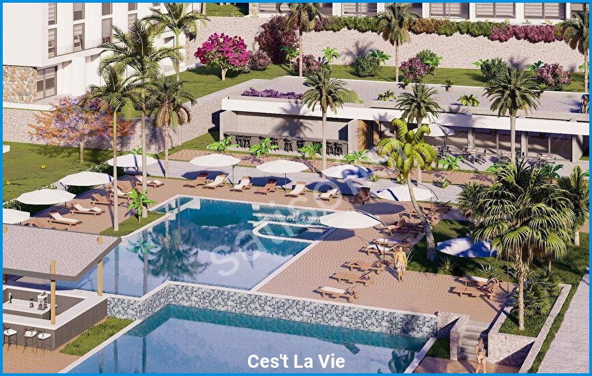 Ces’t La Vie görsel 2