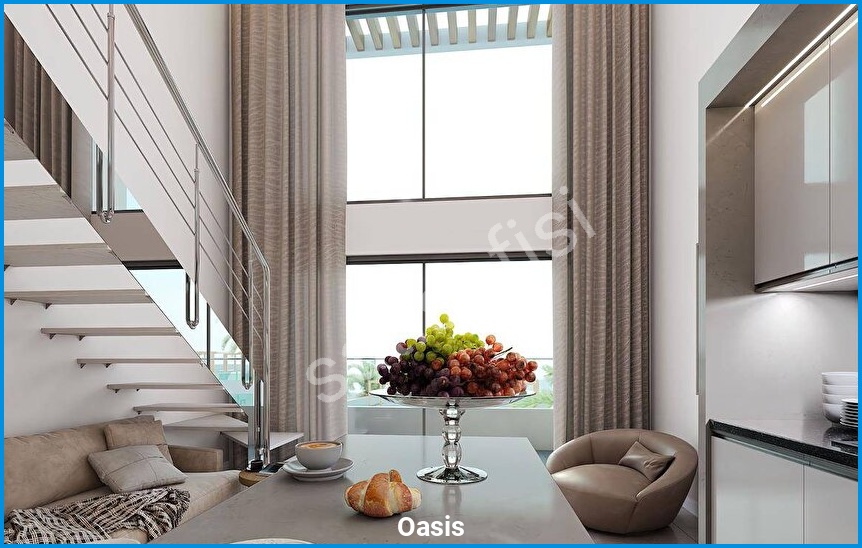 Oasis görsel 13