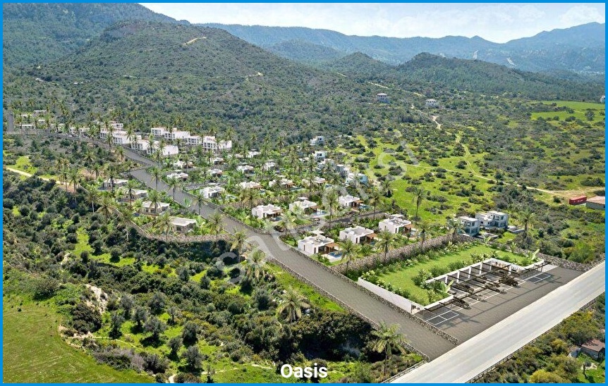 Oasis görsel 2
