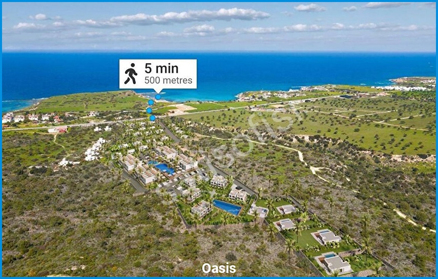 Oasis görsel 4
