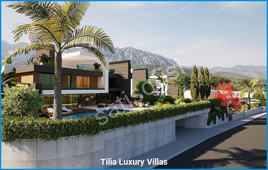 Tilia Luxury Villas 13