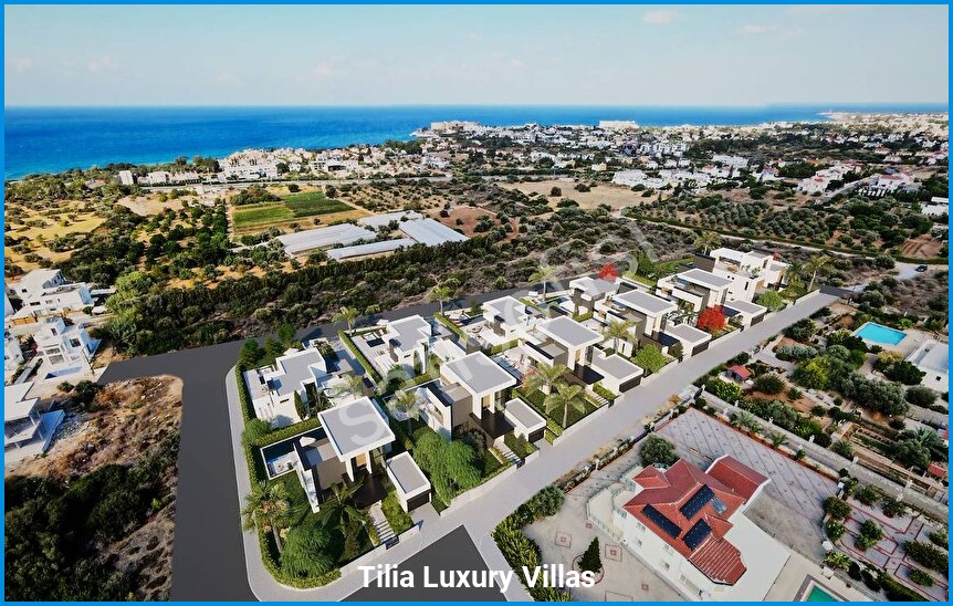 Tilia Luxury Villas 18