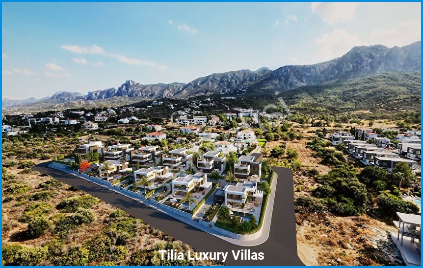 Tilia Luxury Villas 19