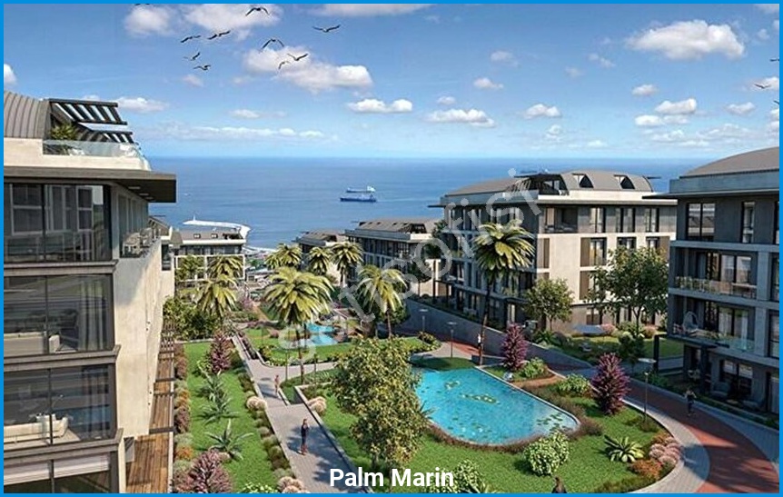 Palm Marin