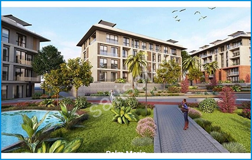 Palm Marin 10
