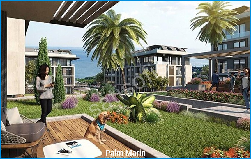 Palm Marin 5