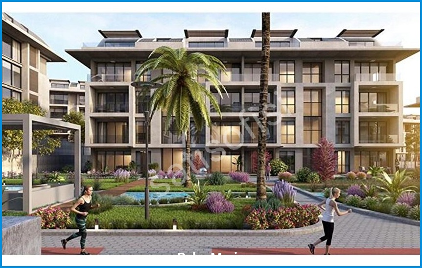 Palm Marin 6
