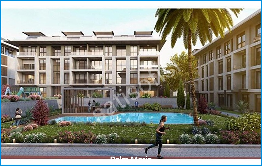 Palm Marin 7