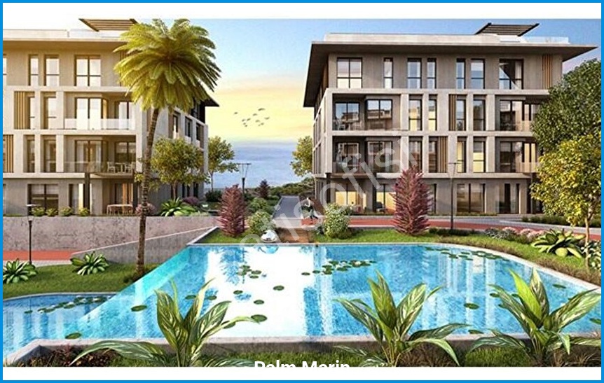 Palm Marin 8