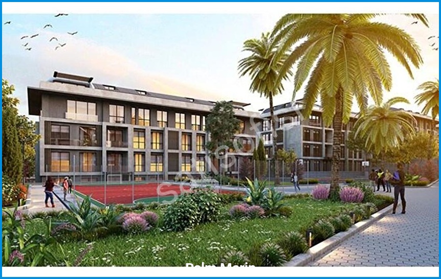 Palm Marin 9