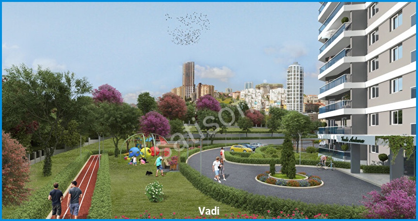 Vadi Ankara — görsel