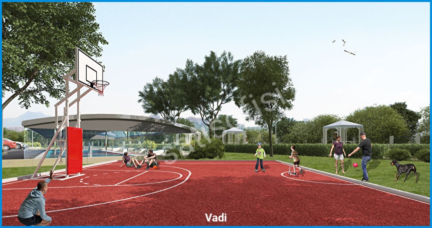 Vadi Ankara — görsel