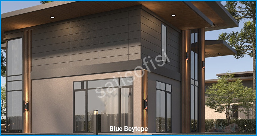 Blue Beytepe 14