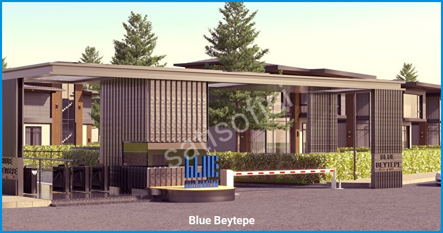 Blue Beytepe 15