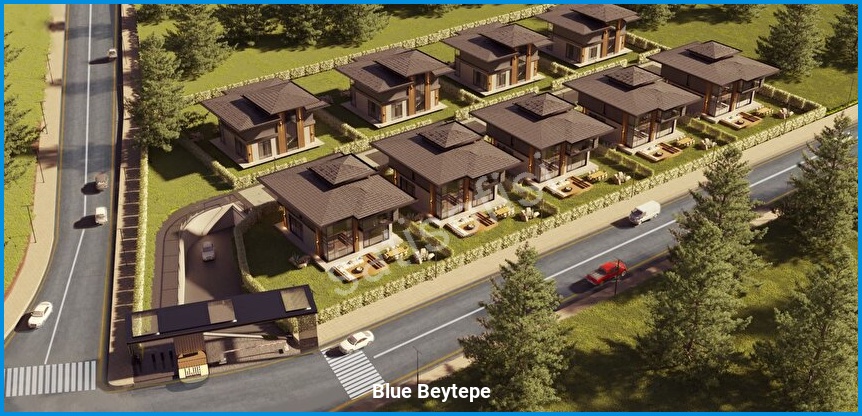 Blue Beytepe 3