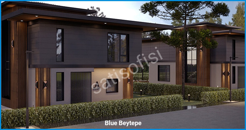 Blue Beytepe 5