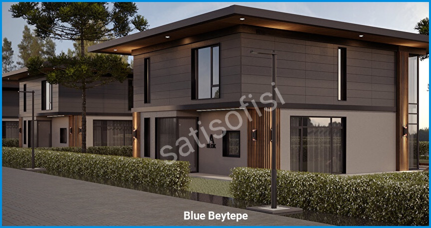 Blue Beytepe 6