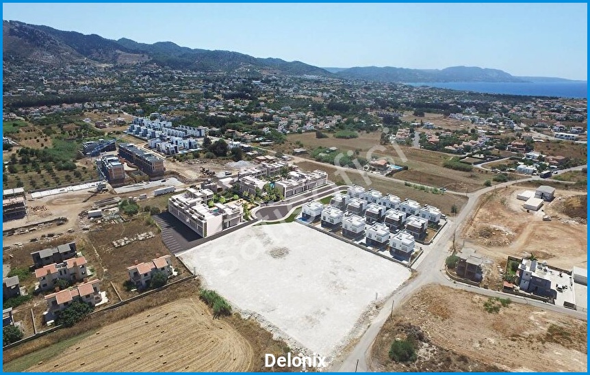 Delonix 10