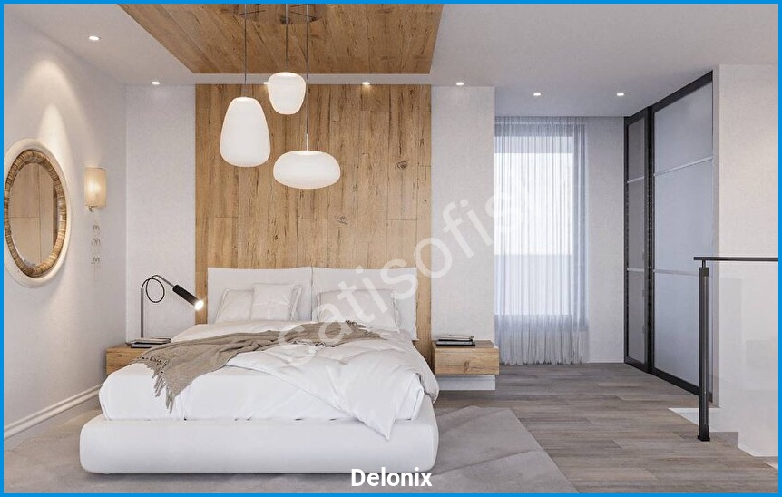 Delonix 11