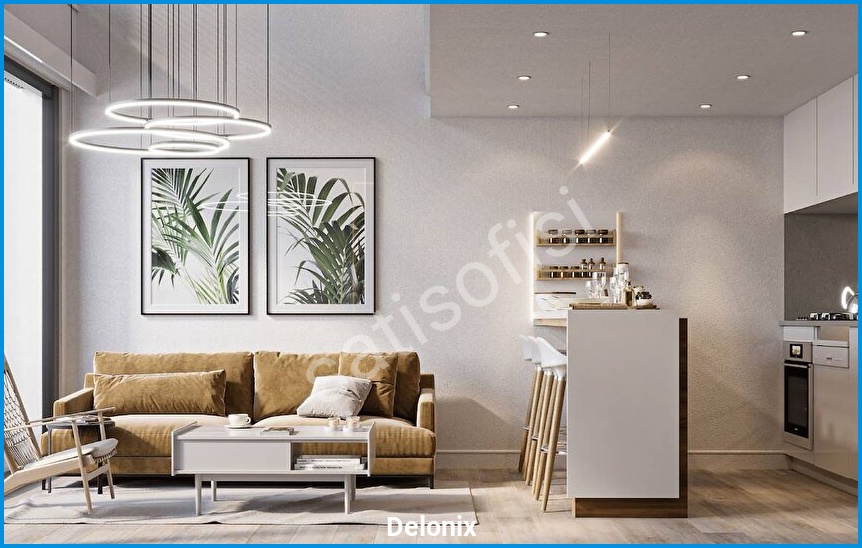 Delonix 14