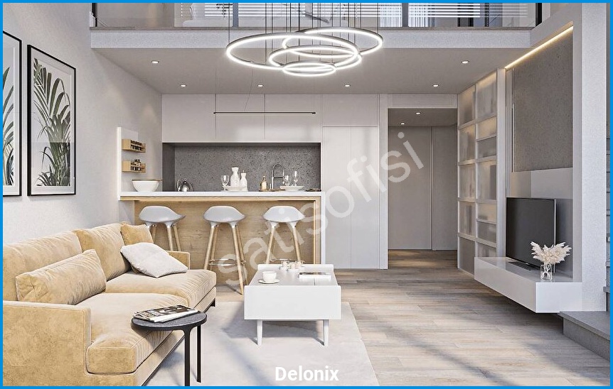 Delonix 15