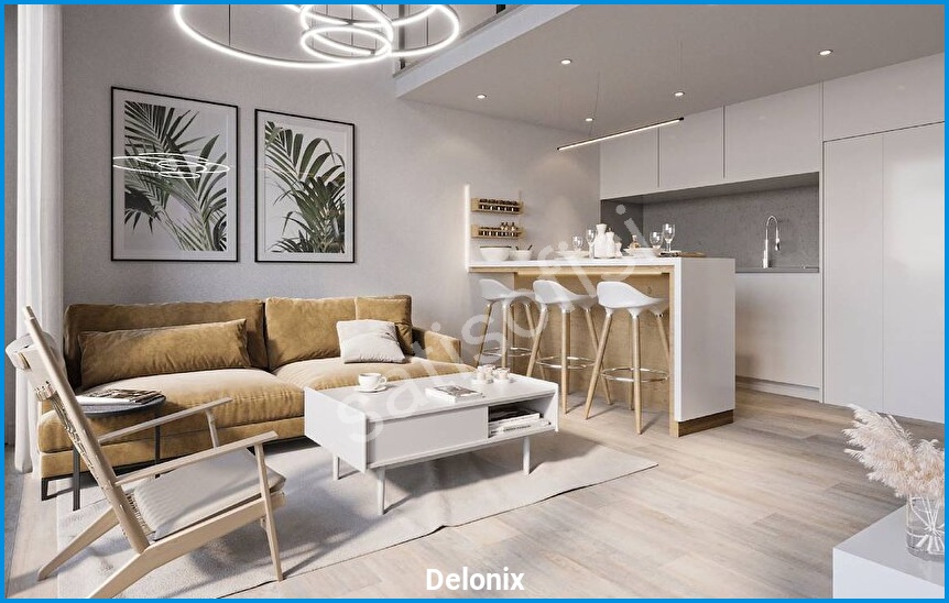 Delonix 16