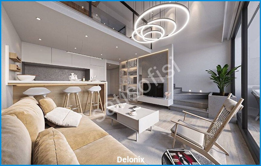 Delonix 17