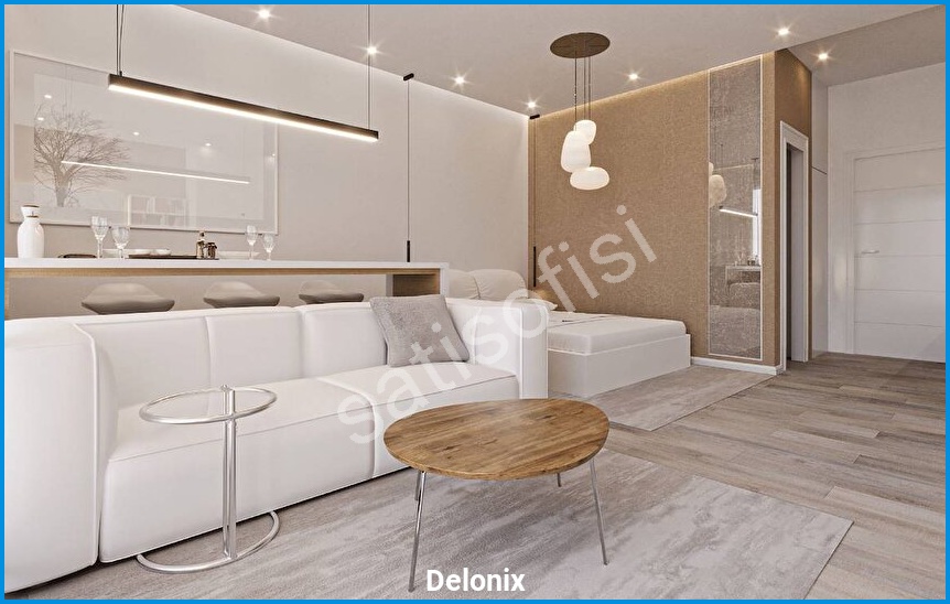 Delonix 20