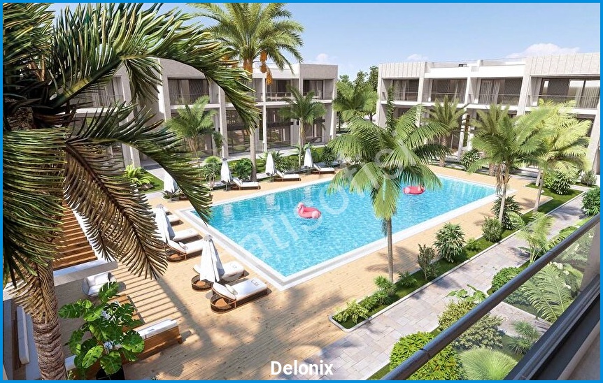 Delonix 3
