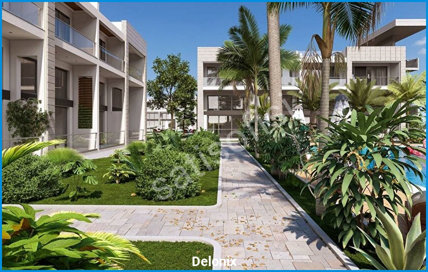 Delonix 4