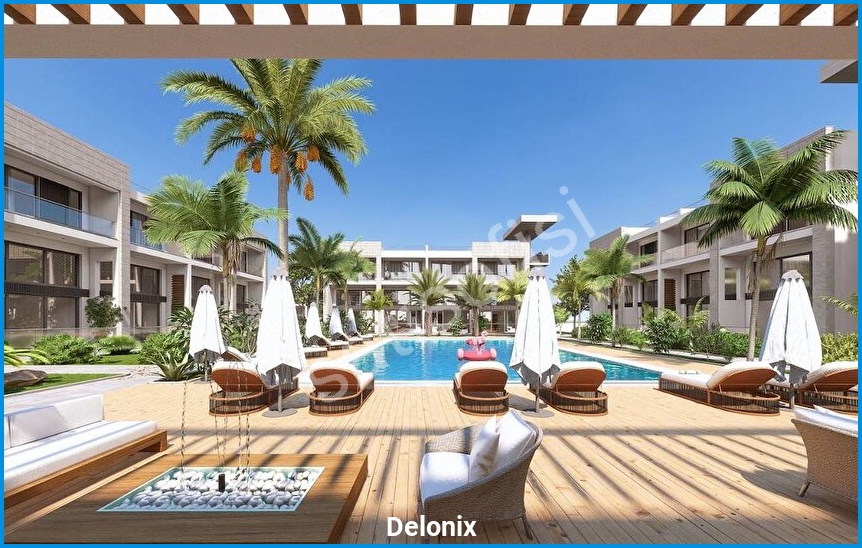 Delonix 5