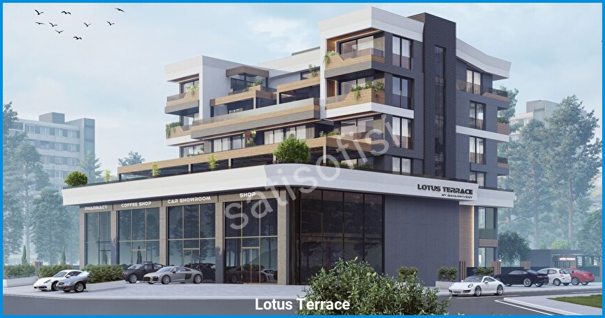 Lotus Terrace