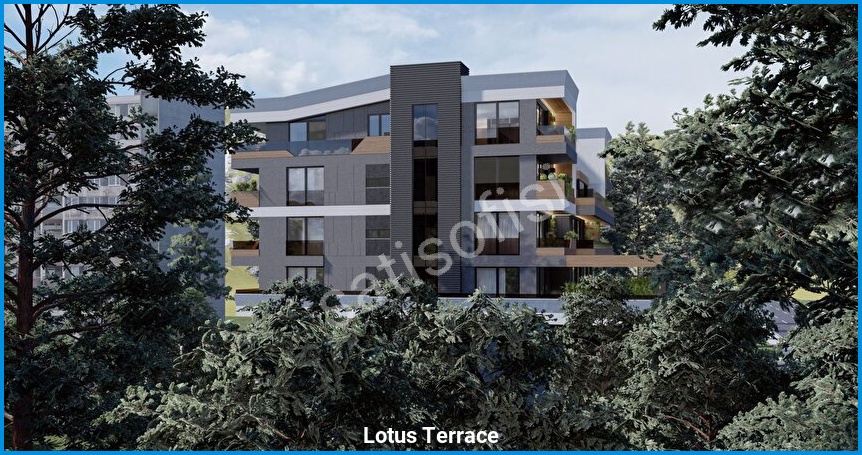Lotus Terrace görsel 7