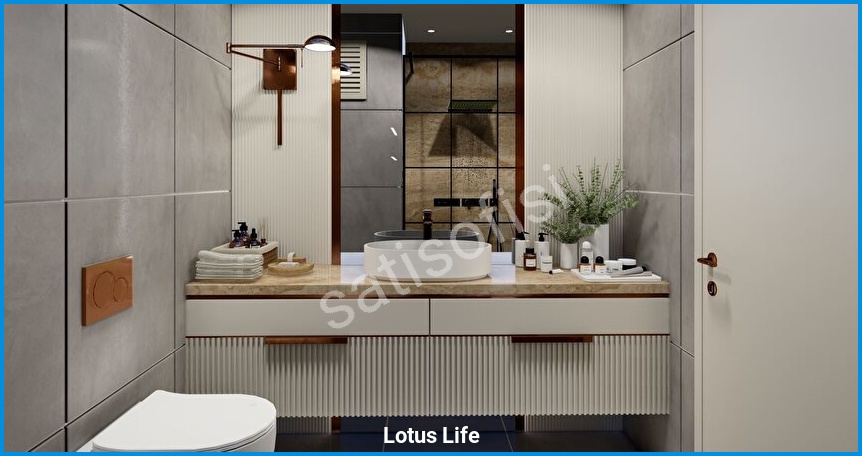 Lotus Life 16