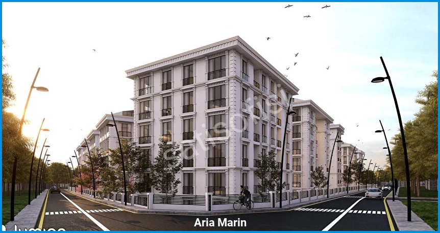 Aria Marin — görsel