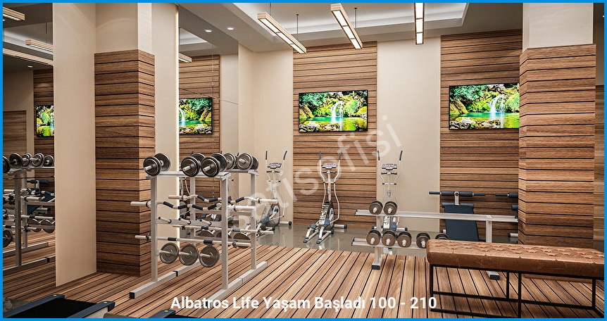 Albatros Life görsel 14