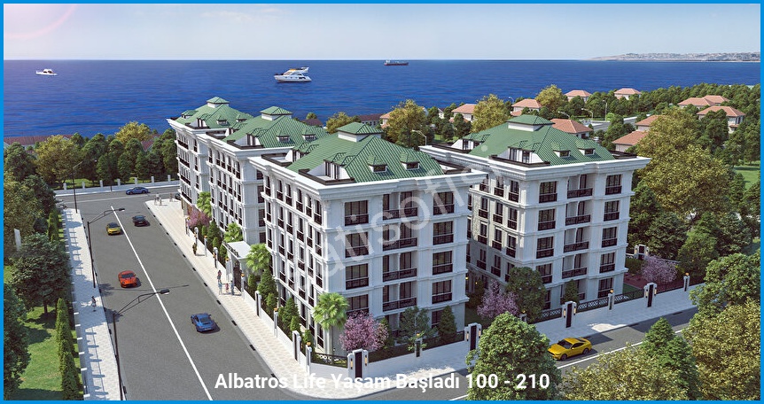 Albatros Life görsel 3