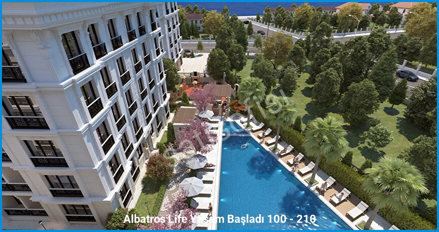 Albatros Life görsel 4