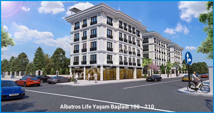 Albatros Life görsel 6
