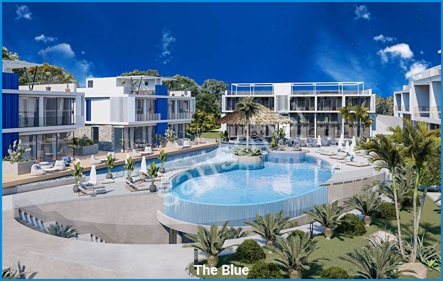 The Blue