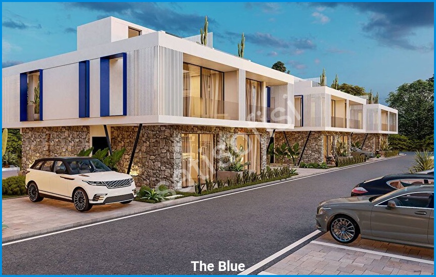 The Blue görsel 10