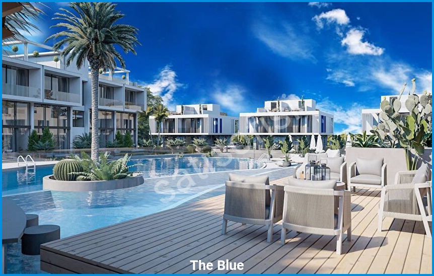 The Blue görsel 11