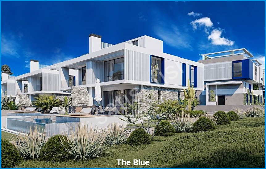 The Blue görsel 12